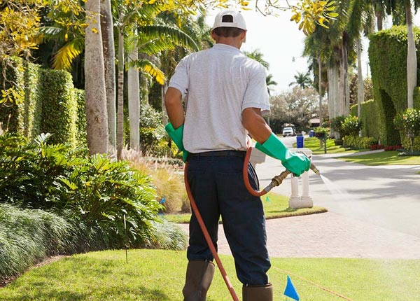 About Moorland IA Pest Control
